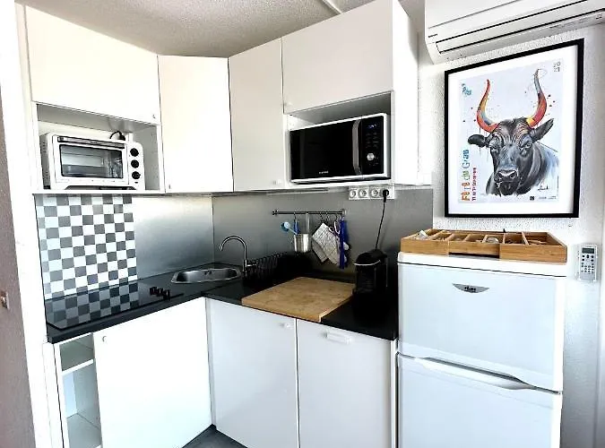 Apartment Vue Port, Parking Prive, Terrasse, Clim *